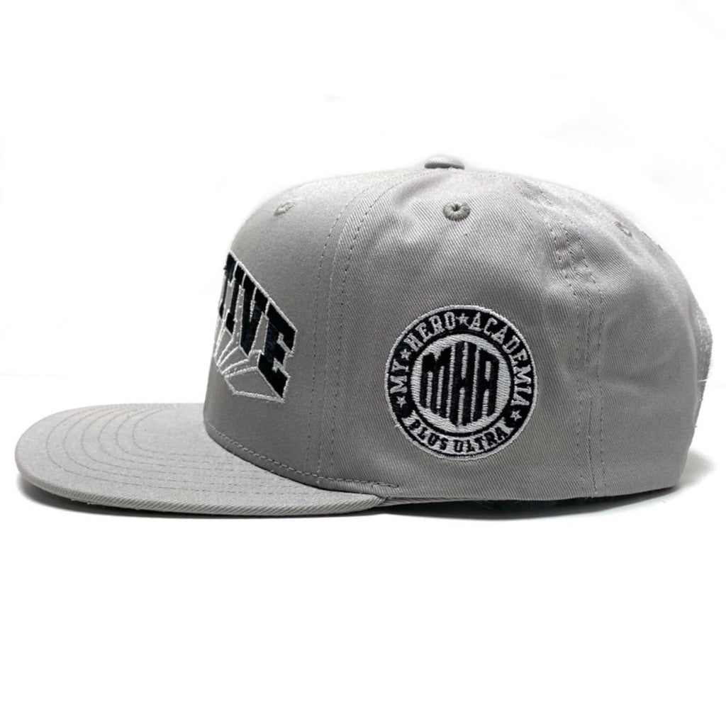PRIMITIVE X MY HERO ACADEMIA SNAPBACK CAP GREY