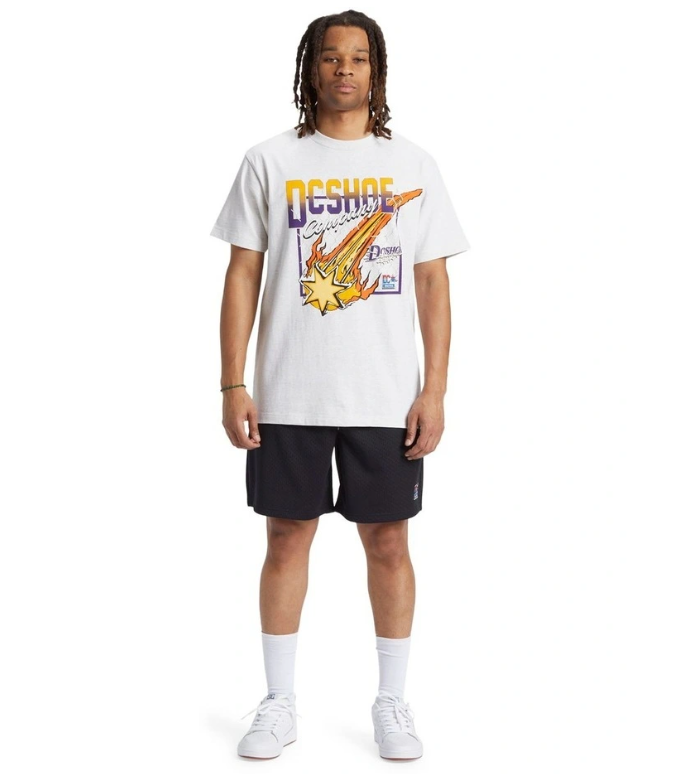 DC SHOES SHOWTIME STARZ SNOW T-SHIRT SNOW HEATHER