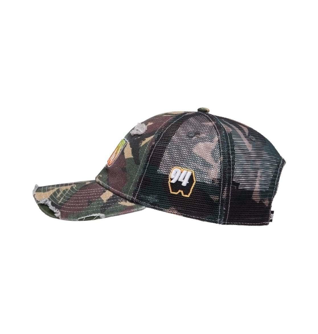 DC SHOES FISH ON CLASSIC CAMO CAP