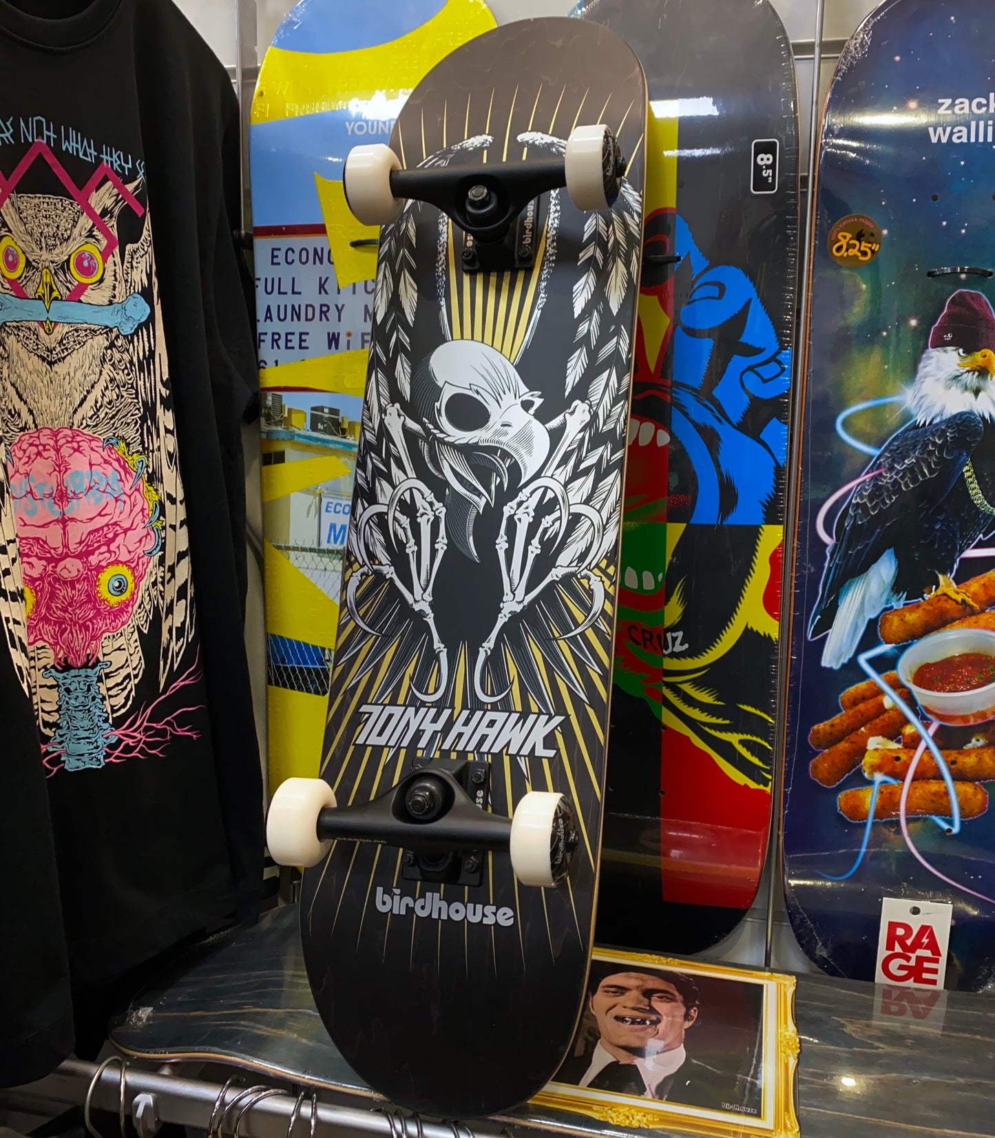 Birdhouse Hawk Wings Stage 3 Complete Skateboard 7.75" 2