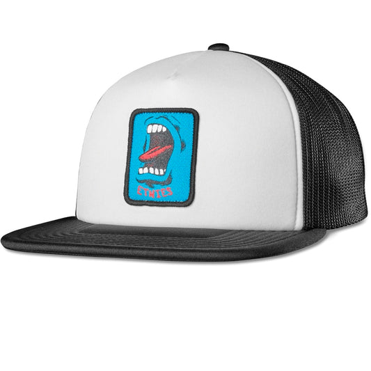 ETNIES X SANTA CRUZ SCREAMING HAND TRUCKER HAT