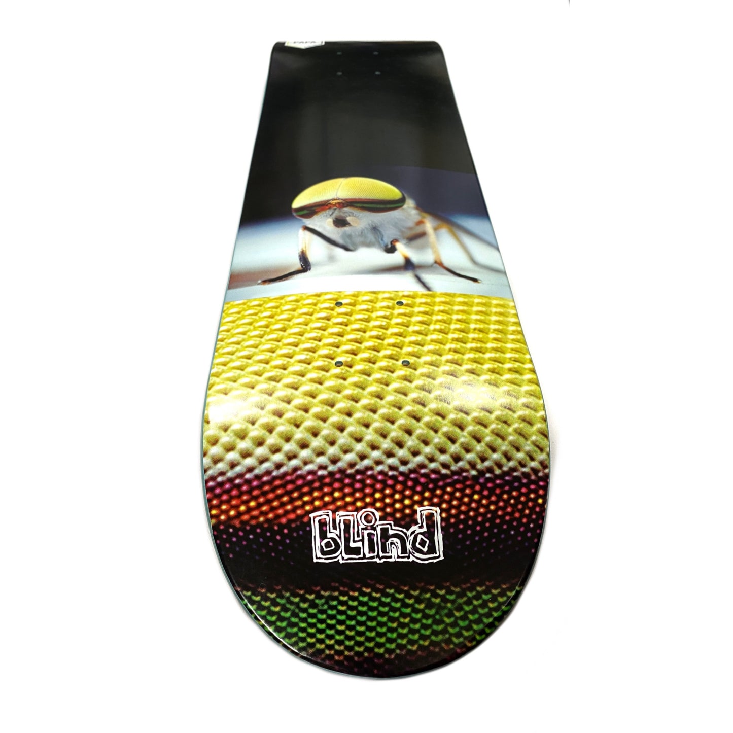 Blind Papa Buggers R7 Skateboard Deck 8.0”